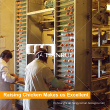Automatische Hühnerei-Geflügelfarm-Ei-Sammeln-Maschine